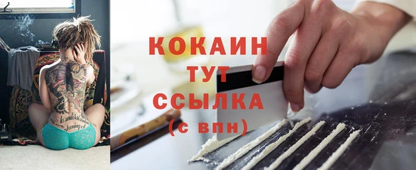 шишки Богородск