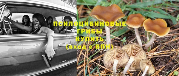 гашик Богородицк