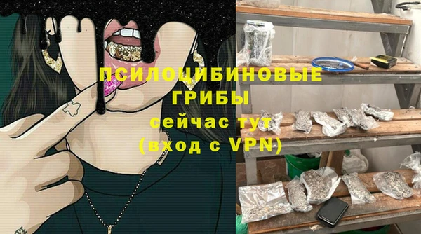 гашик Богородицк