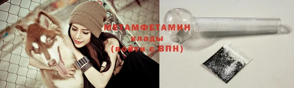 шишки Богородск