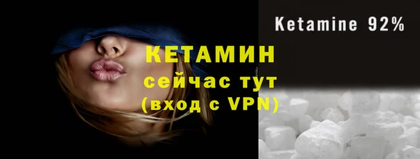 ECSTASY Богданович