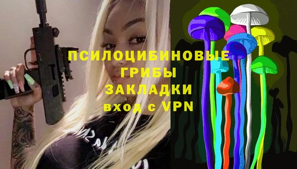 гашик Богородицк