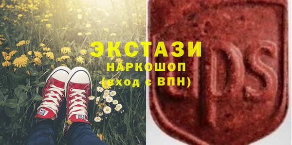 ECSTASY Богданович