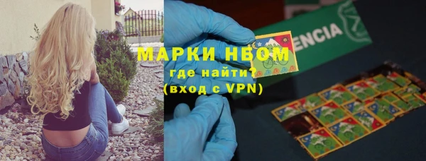 шишки Богородск