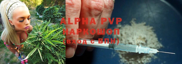 ECSTASY Богданович
